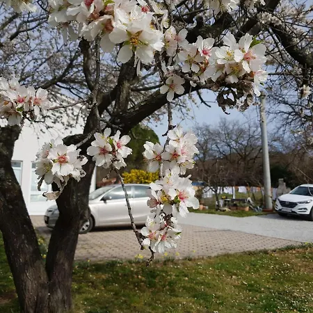 Rama Lägenhet Poreč