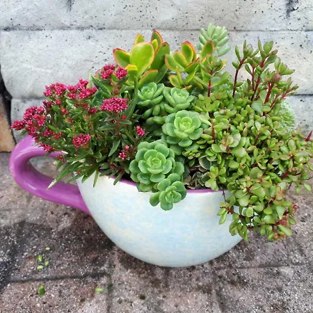 Appartement Rama Poreč