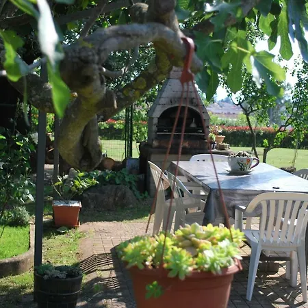 Rama * Porec