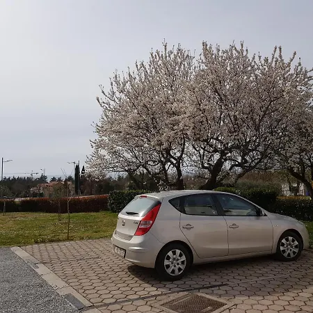 Apartament Rama
