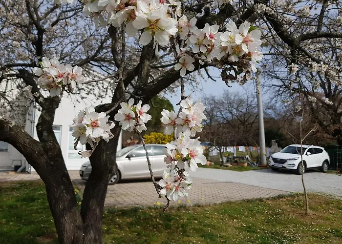 Rama 아파트 포레치