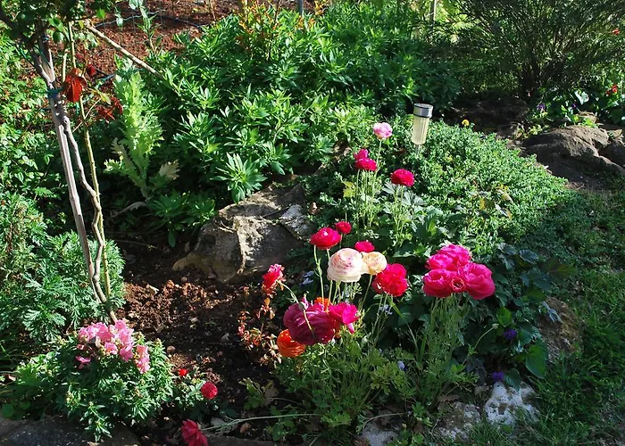 Rama 아파트 포레치